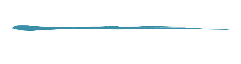 Spring Creek Commons